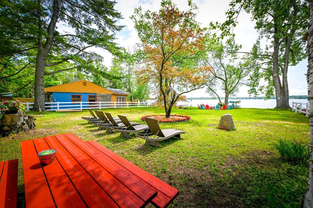 Waterfront lawn and cottages